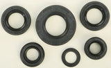 822224 Oil Seal Set - Kit