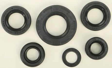 822224 Oil Seal Set - Kit
