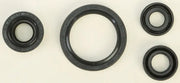 822226 Oil Seal Set - Kit