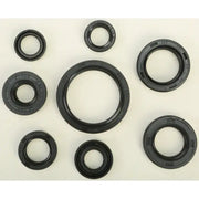 822228 Oil Seal Set - Kit