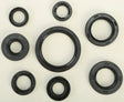 822228 Oil Seal Set - Kit
