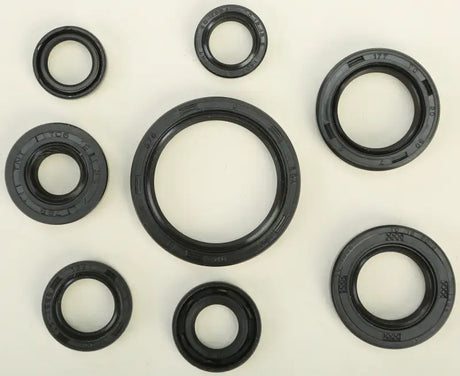 822228 Oil Seal Set - Kit