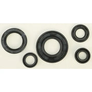 822240 Oil Seal Set - Kit