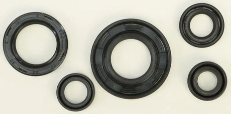822240 Oil Seal Set - Kit