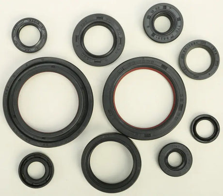 822248 Oil Seal Set - Kit