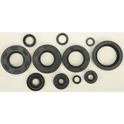 822252 Oil Seal Set - Kit