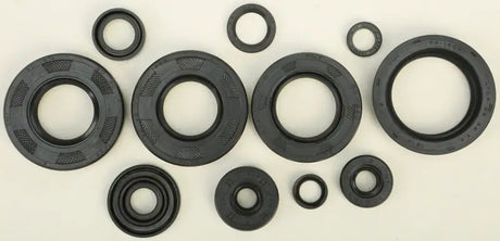 822252 Oil Seal Set - Kit