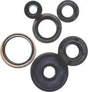 822253 Oil Seal Set - Kit