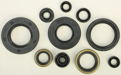 Assortment of black rubber oil seals with metal rings in 822257 Oil Seal Kit