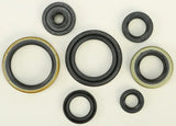822266 Oil Seal Set - Kit