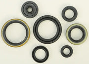 822266 Oil Seal Set - Kit