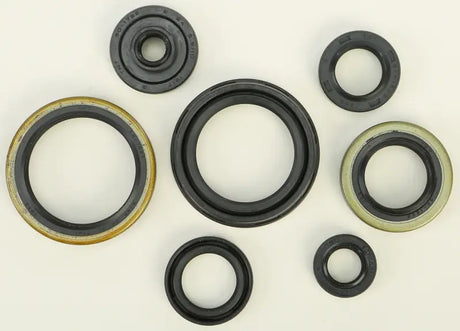 822266 Oil Seal Set - Kit
