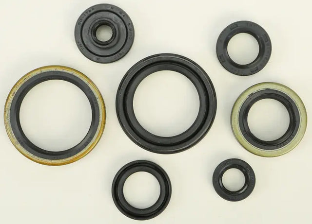 822266 Oil Seal Set - Kit