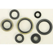 822267 Oil Seal Set - Kit