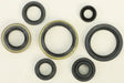 822267 Oil Seal Set - Kit
