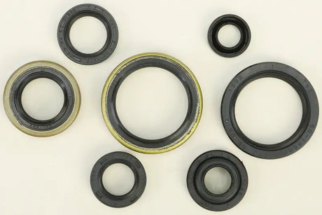 822267 Oil Seal Set - Kit