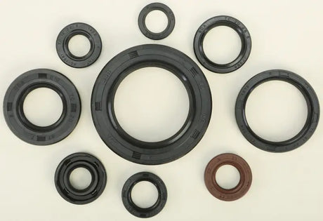 822268 Oil Seal Set - Kit