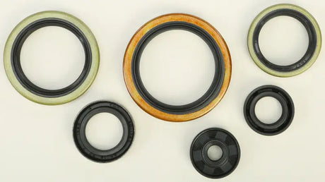 822269 Oil Seal Set - Kit