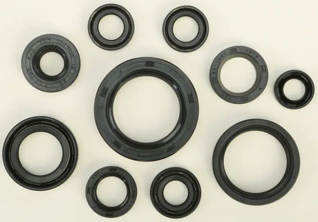 822270 Oil Seal Set - Kit