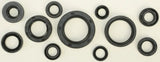 822271 Oil Seal Set - Kit