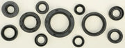 822271 Oil Seal Set - Kit