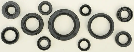 822271 Oil Seal Set - Kit
