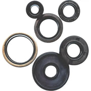 822273 Oil Seal Set - Kit