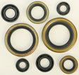 822274 Oil Seal Set - Kit