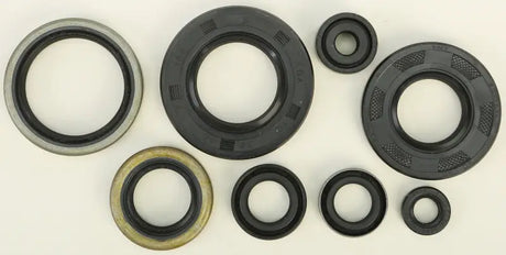 822284 Oil Seal Set - Kit