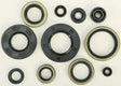 822288 Oil Seal Set - Kit