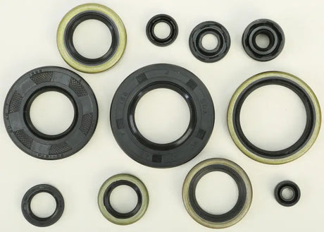 822288 Oil Seal Set - Kit