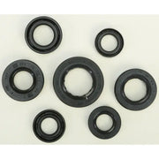 822289 Oil Seal Set - Kit