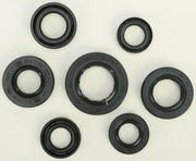 822289 Oil Seal Set - Kit