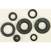 822291 Oil Seal Set - Kit