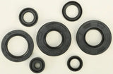 822291 Oil Seal Set - Kit