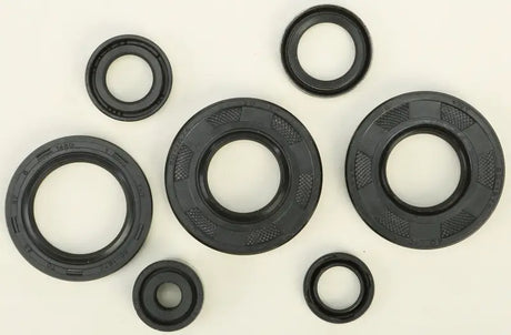822291 Oil Seal Set - Kit