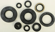 822292 Oil Seal Set - Kit