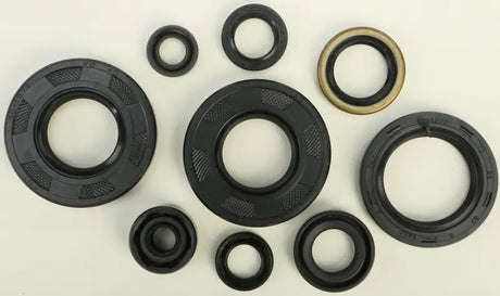 822292 Oil Seal Set - Kit