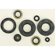 822293 Oil Seal Set - Kit