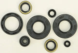 822293 Oil Seal Set - Kit