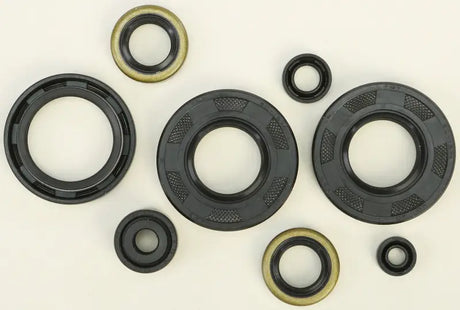 822293 Oil Seal Set - Kit
