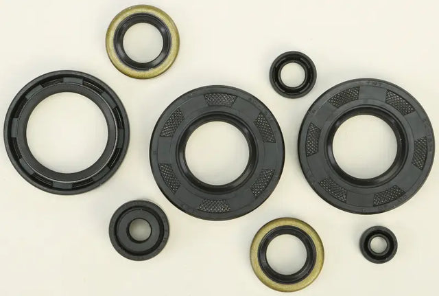 822293 Oil Seal Set - Kit