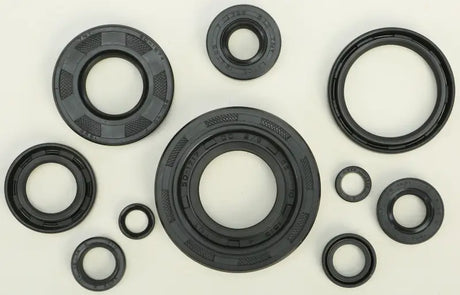 822304 Oil Seal Set - Kit