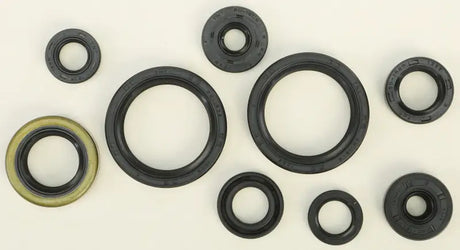 822316 Oil Seal Set - Kit