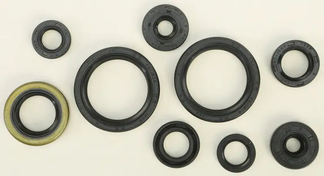 822316 Oil Seal Set - Kit