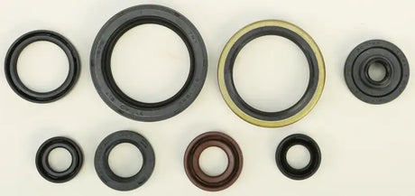Oil seal kit with various rubber and metal oil seals for reliable sealing needs