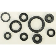 822319 Oil Seal Set - Kit