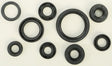 822319 Oil Seal Set - Kit