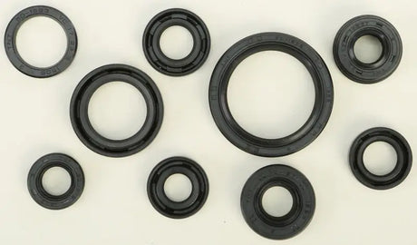 822319 Oil Seal Set - Kit
