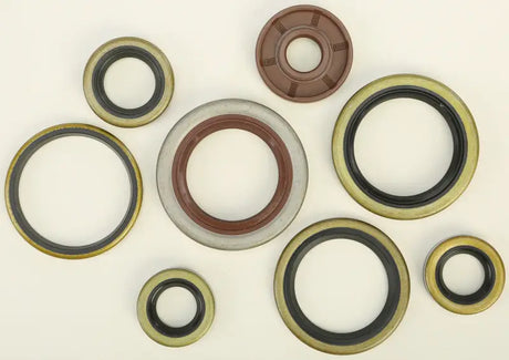 822320 Oil Seal Set - Kit